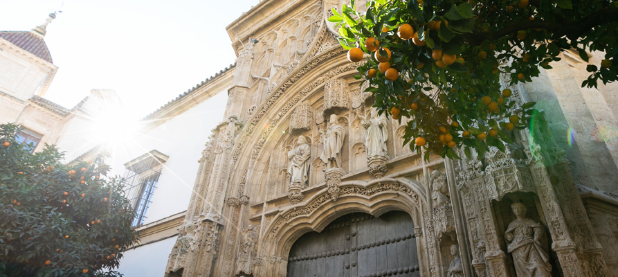 Palacio de Congresos - Fotografía