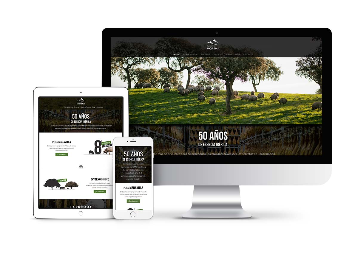 Sierra Morena - Diseño web