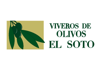 Viveros de Olivos El Soto