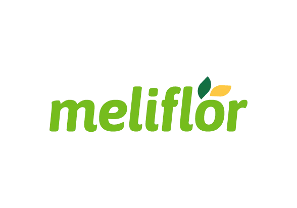 Logo meliflor