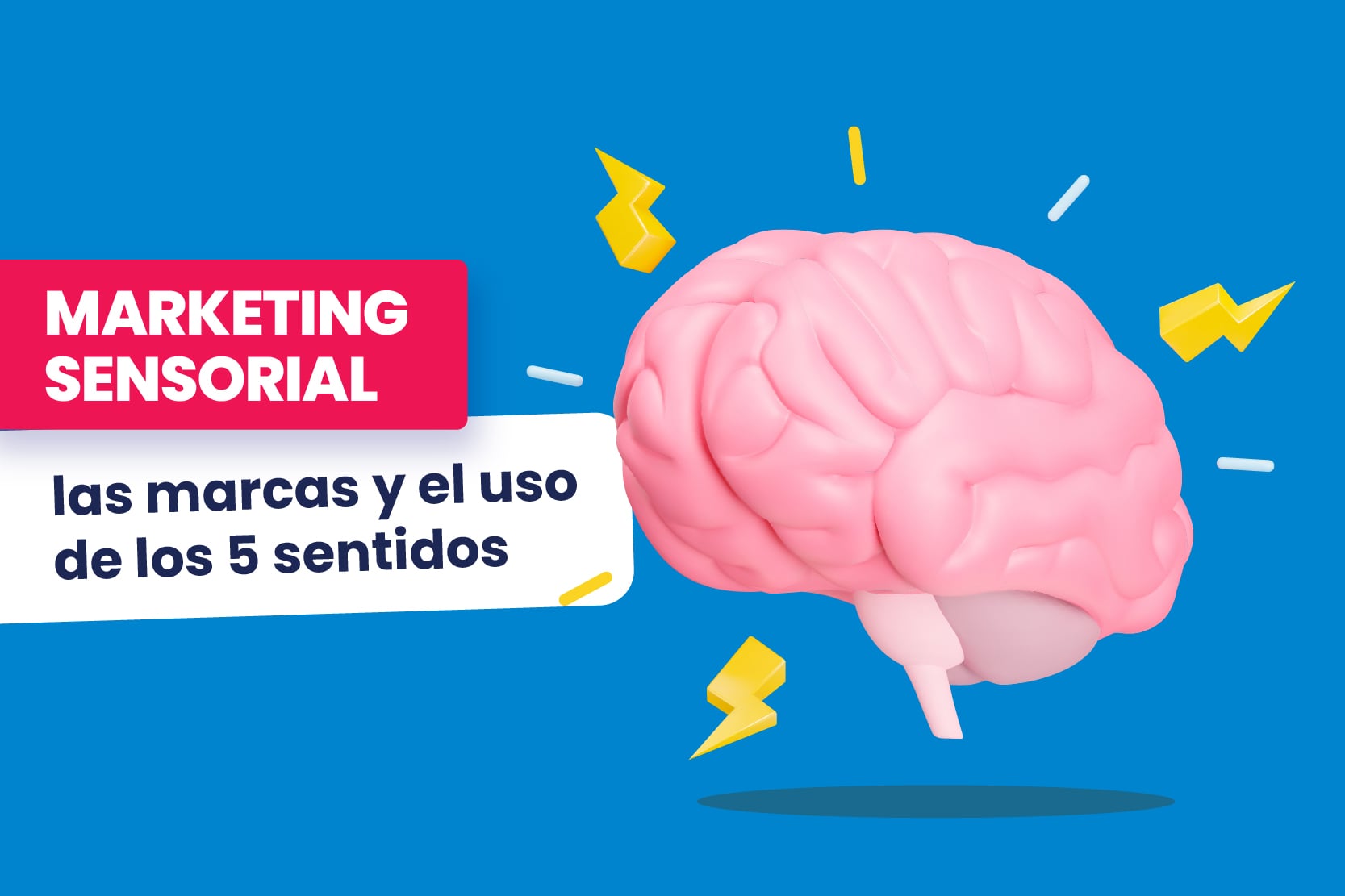 Marketing sensorial qué es, ventajas y ejemplos - Dobuss